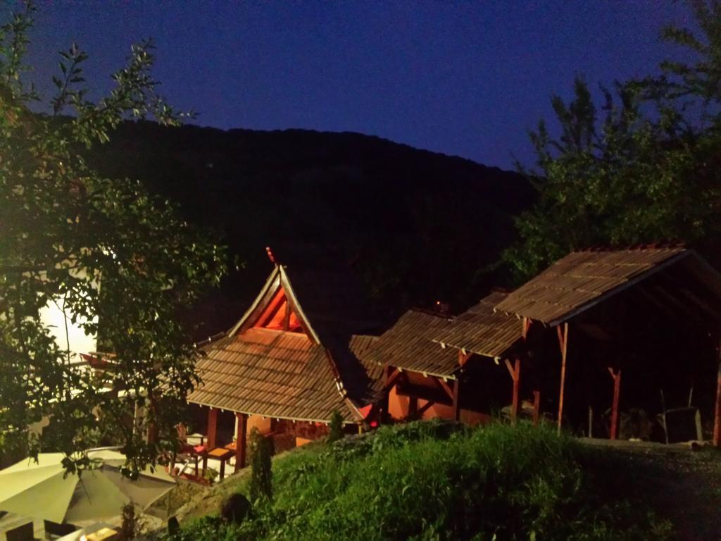 Casa Lily - Japanese Retreat Hotel Сигишоара Екстериор снимка