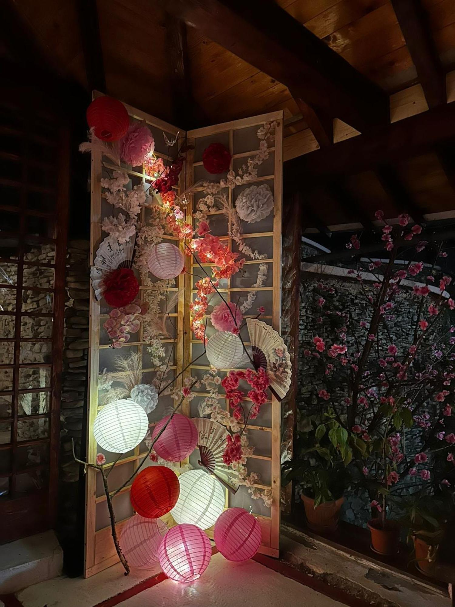 Casa Lily - Japanese Retreat Hotel Сигишоара Екстериор снимка
