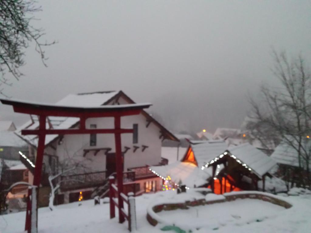 Casa Lily - Japanese Retreat Hotel Сигишоара Екстериор снимка