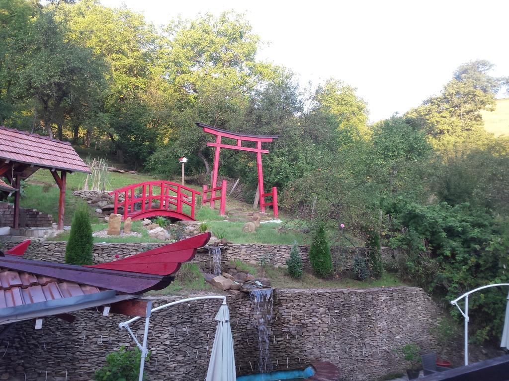 Casa Lily - Japanese Retreat Hotel Сигишоара Екстериор снимка