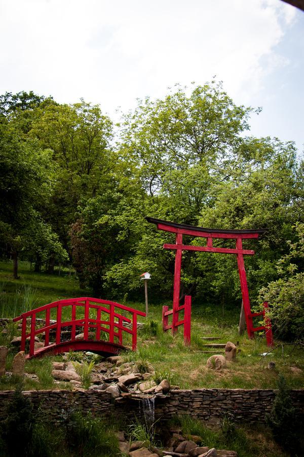 Casa Lily - Japanese Retreat Hotel Сигишоара Екстериор снимка