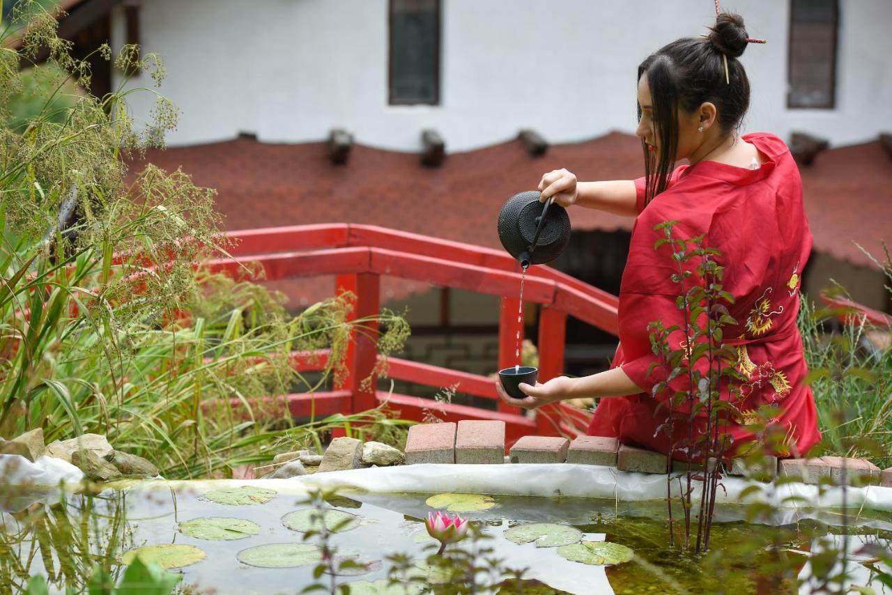 Casa Lily - Japanese Retreat Hotel Сигишоара Екстериор снимка